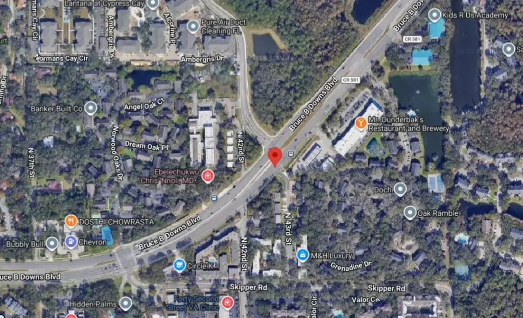 Tampa Hit-and-Run Crash Kills Pedestrian Near Bruce B. Downs Boulevard, Driver Sought Tampa Hit-and-Run Crash Kills Pedestrian Near Bruce B. Downs Boulevard, Driver Sought
