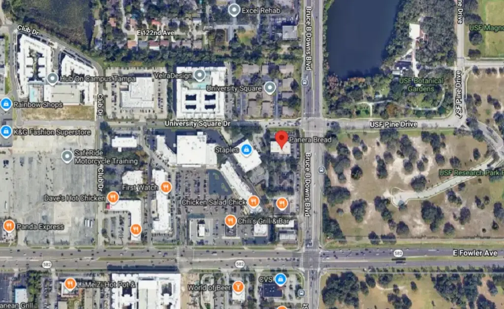 Hit-and-Run Crash Near Panera on Bruce B Downs Blvd, Tampa Hit-and-Run Crash Near Panera on Bruce B Downs Blvd, Tampa