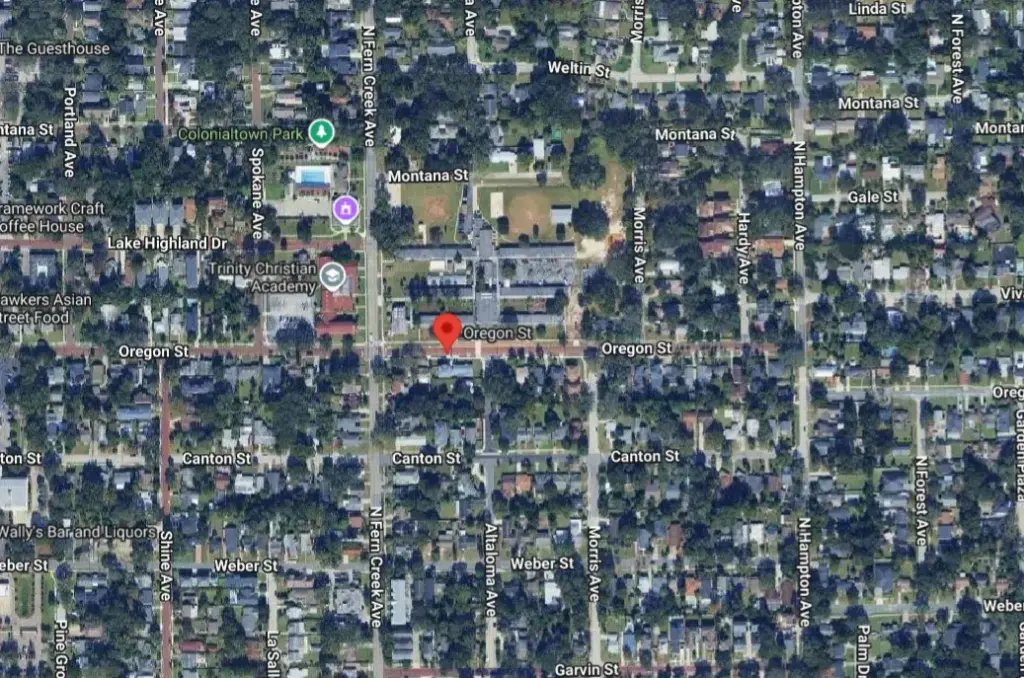 Large Tree Falls on Car in Orlando Neighborhood, Totaling Vehicle Large Tree Falls on Car in Orlando Neighborhood, Totaling Vehicle